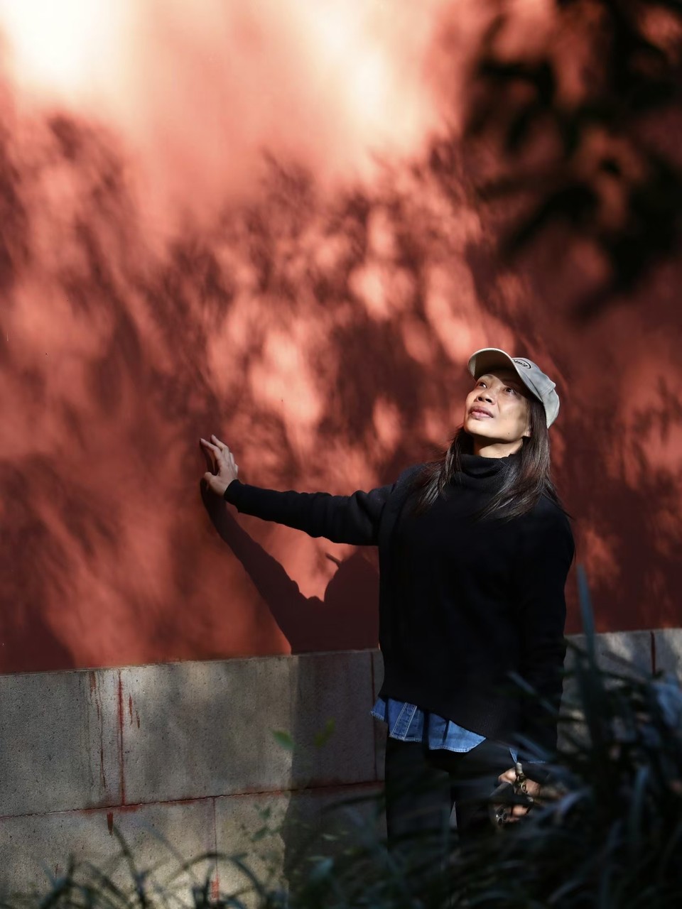 mmexport1733387938274