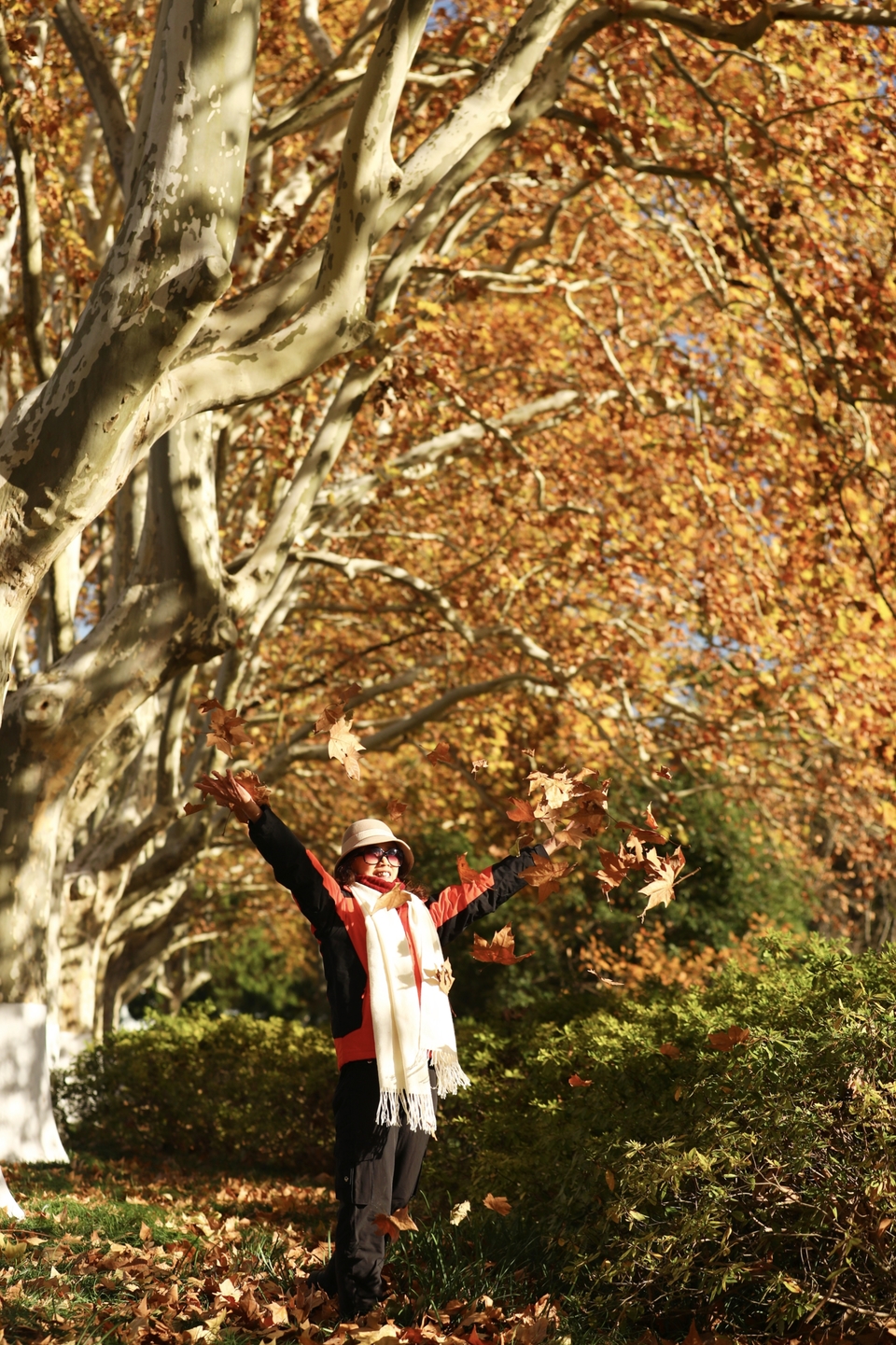 mmexport1733388064316