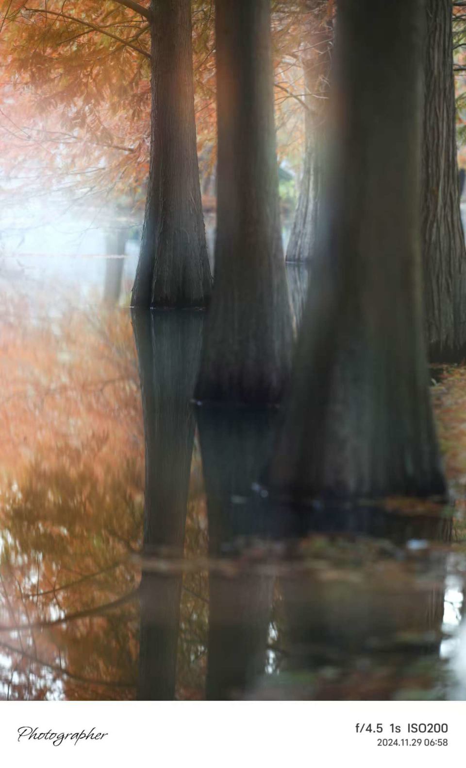 mmexport1733388007646