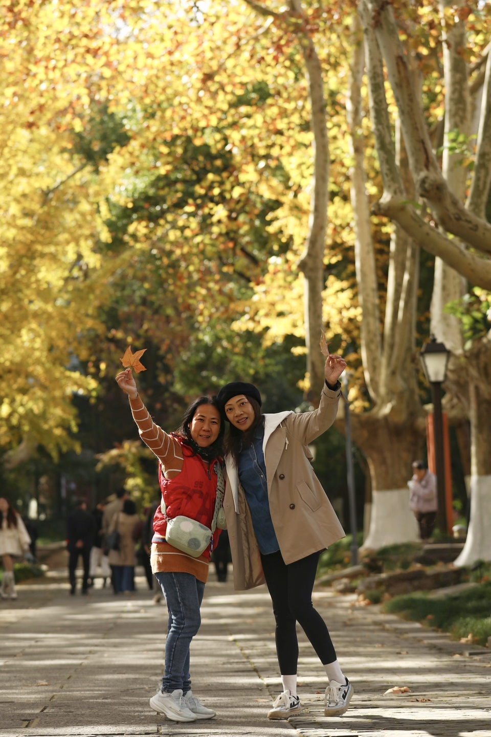 mmexport1733387980857