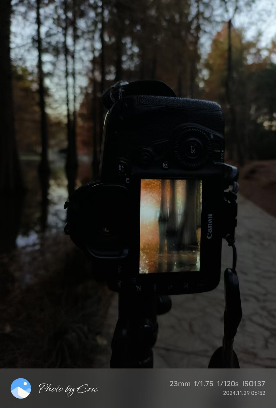 mmexport1733388003500