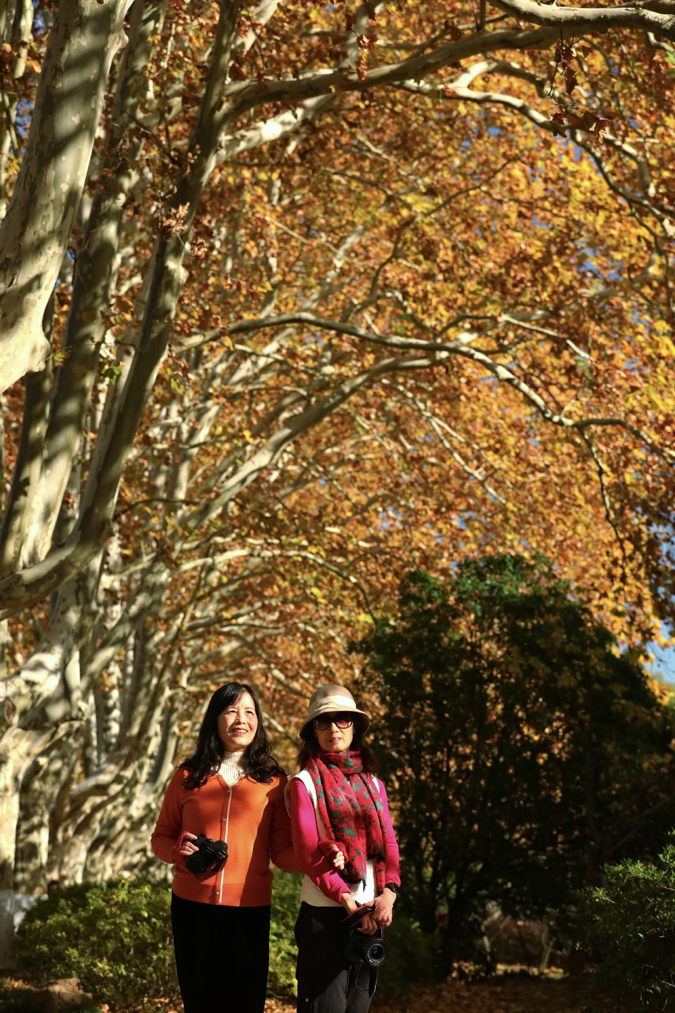 mmexport1733388052463