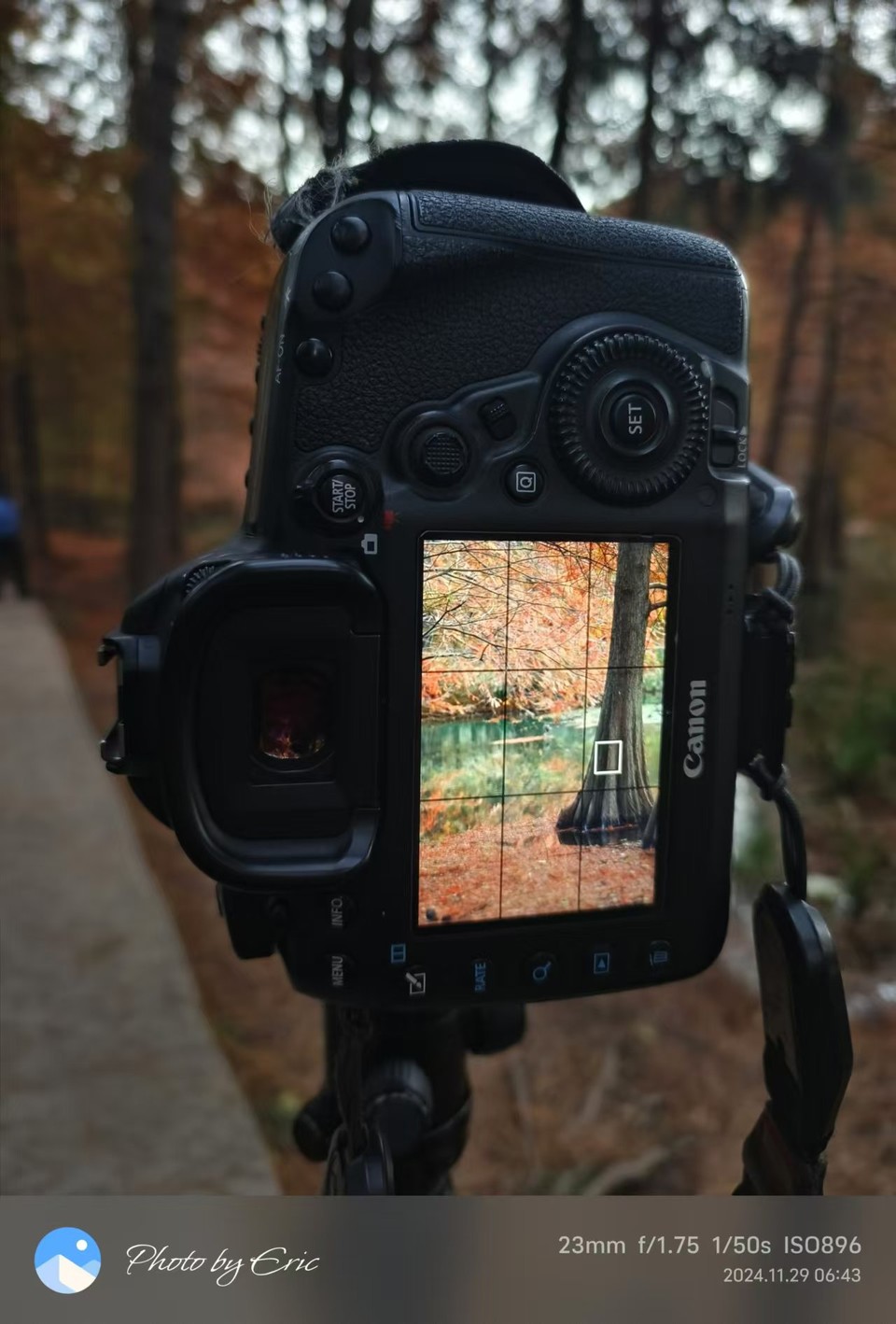 mmexport1733388001634