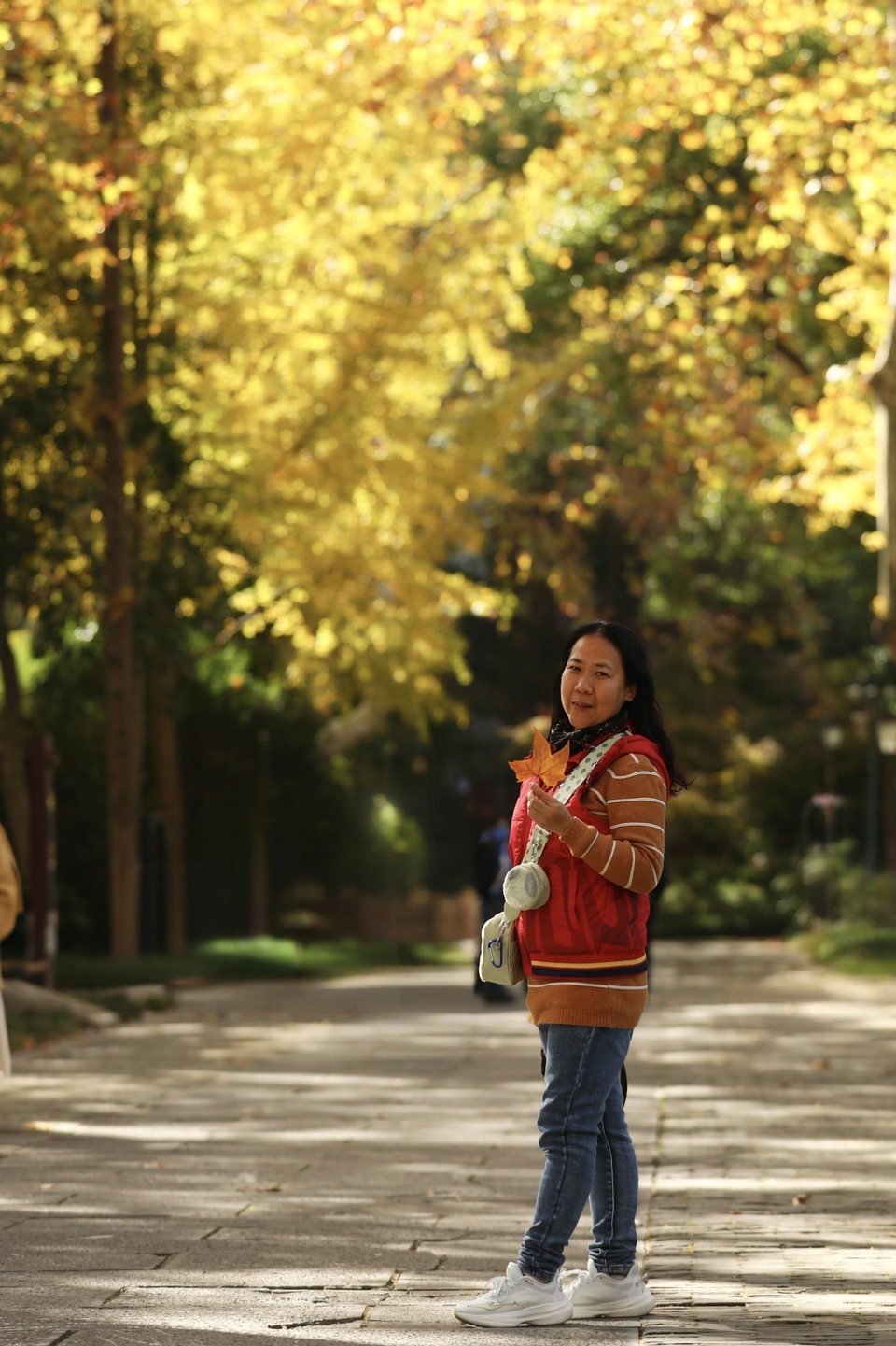 mmexport1733387978472