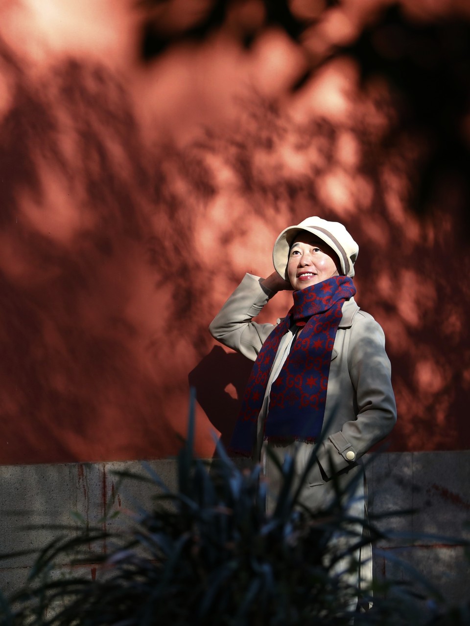 mmexport1733387949218