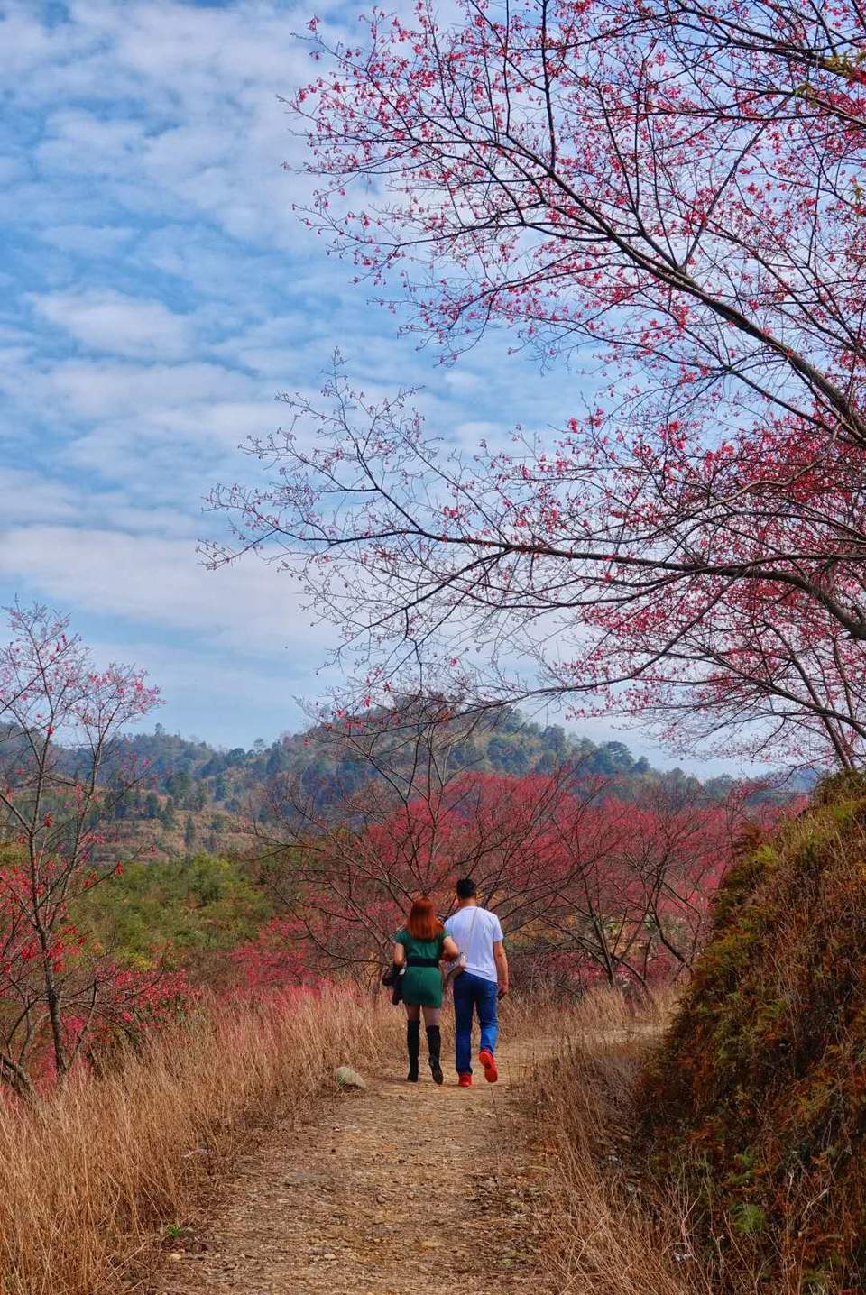 nmLqnF76rzih5Om_pBG2NWHABQn6LSp3ankVpRjFZnh_FG0SYl2Cco2JmJHXHS69