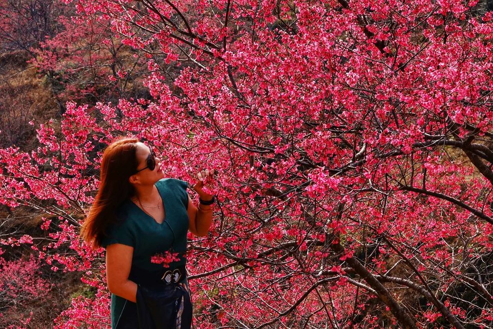 TleEir6e6Cyu1lOlmVSJK47bvB7m2XSGh56I9Ous-uhbBGY4Uusn5Vfvp3qPocLc