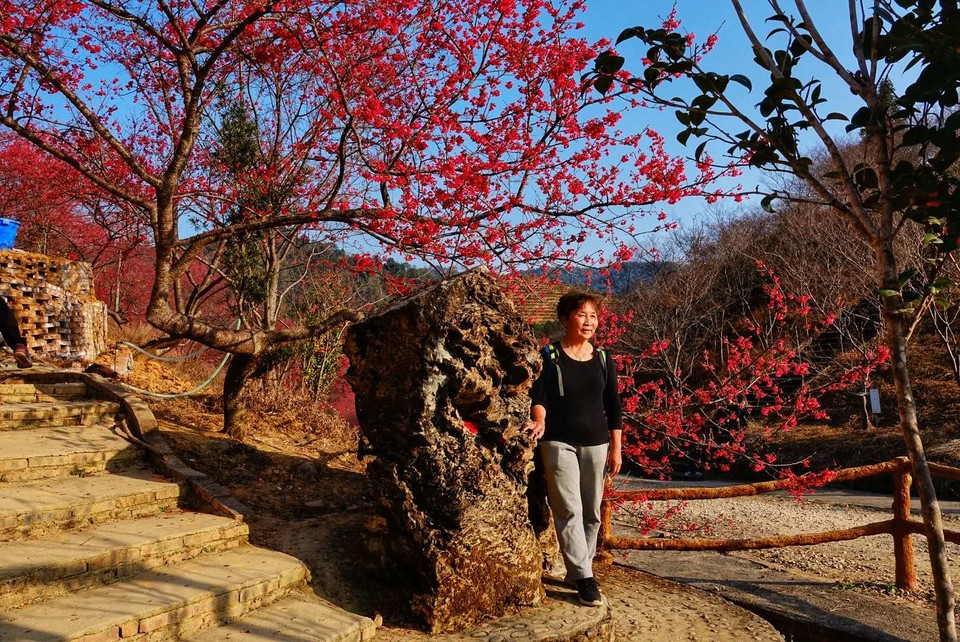 1vd2ZUbrfTZa_vAibmlgkkeNHy58quInPOqtl608YYjbaXH7-2BtBYCJGwtICZT1