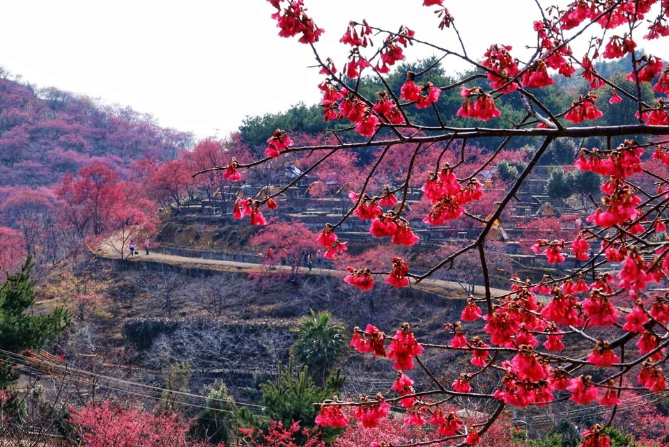 XNt08ib-8a4IChUXIJZgPe0FwuEC2GHOznj79ItnTe3PDwBwiLSg8-lNUAYL0Il2