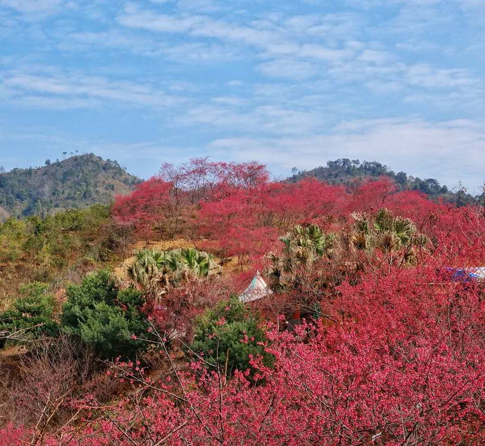 IJBAzUncTbN4P-eVp6aZkCol-RI229FB8zr3cow-eDCeorCqK3IeuLstHgVMSrgf