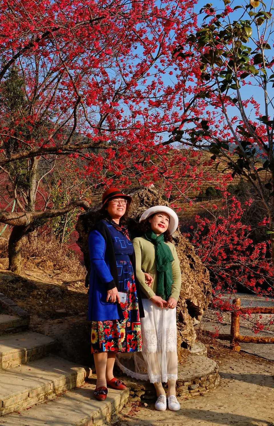 rIQ0-0q8lSAR152Q1HF-ew1duauRt2IBMM4r13F2JsHpv3B88ZD0w3N6yMBJpzNa