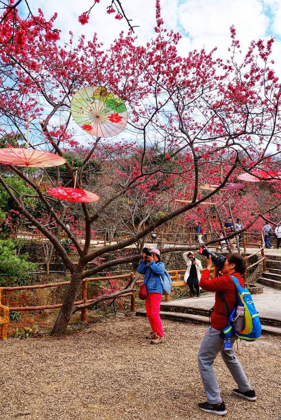 0FzPOQEbyXhgtXT-ophWbM1x1KgD3HfUptGR3dS61xQC5droCpkRPVTv_5vCnpJo