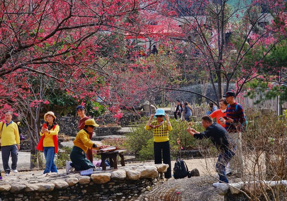 BTLZWMsVIYCIvsLjclo_SpFZsqJsqGLgabA-aktPHtSJFYXHq1opK75GpXvKeq1D