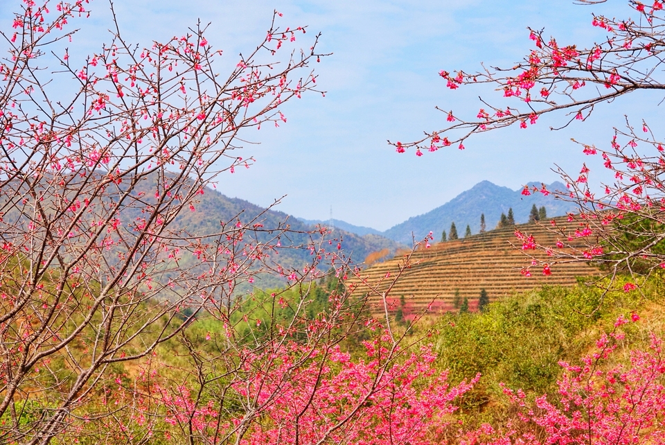 wljmAyjnjFcdS-RO5Go02ihjW3t7uyuuhYPMnAEJeKLiorTfLRgMg3hz34FQWEeg