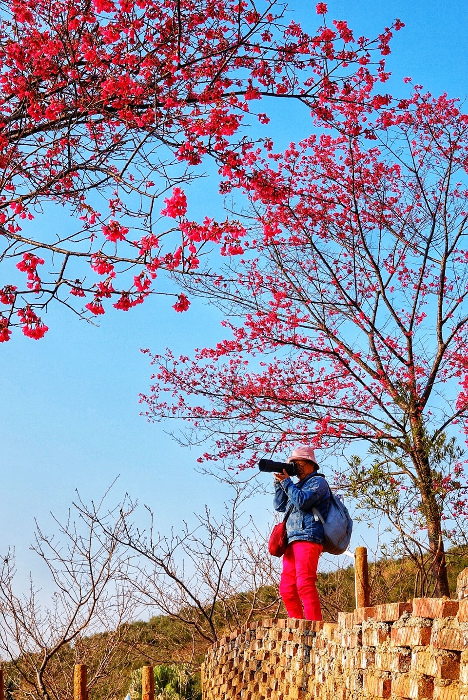 Ve0XHrX-dc0wfJJOhxQklWQ8hfaj9hFEWIQ8hVJeVbimUJXdN-z-EuSwRJXeOxdM