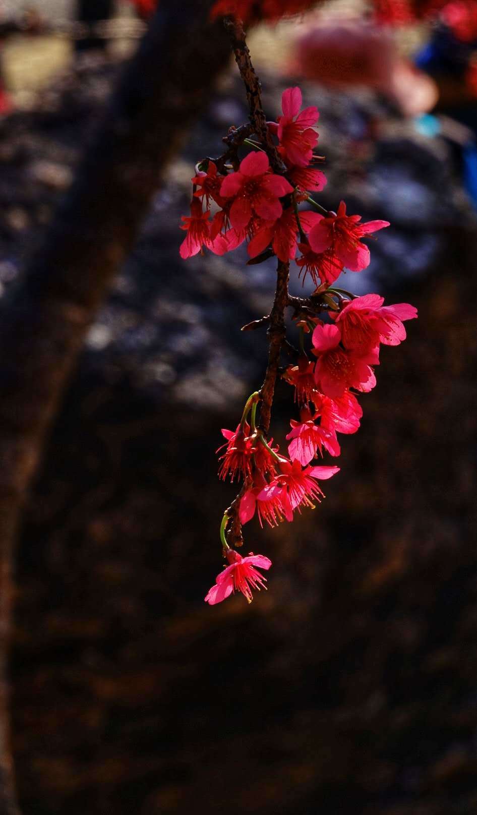 VMavPgqjie43N0upu25US7_Xs8wat3lTEBKgDk2zaY6xY9A9hT7PnR6u3XG5fLIW