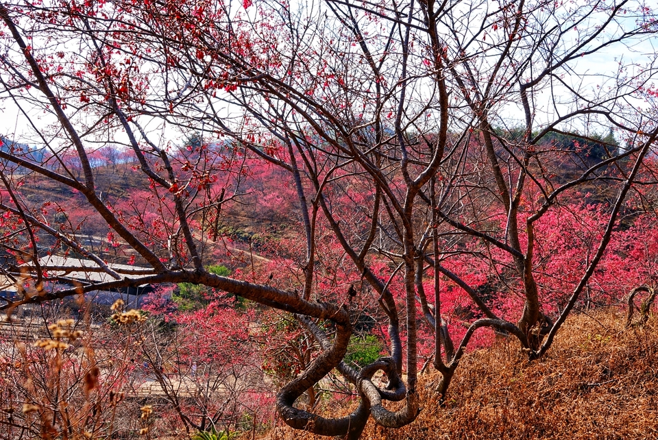 -_rsJS6MIZK7c5n3pGbfJnCsxdhhUJcZfvQovDGFdbyRokqj1CZL80Qy1j5pVlcJ