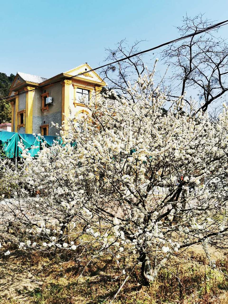 XVw50iLUQ0hM86hWP_fKh9wMF-wvdsh_ZXnLm-j7t2zbXPI6ithTqKf0ABz-cIpk