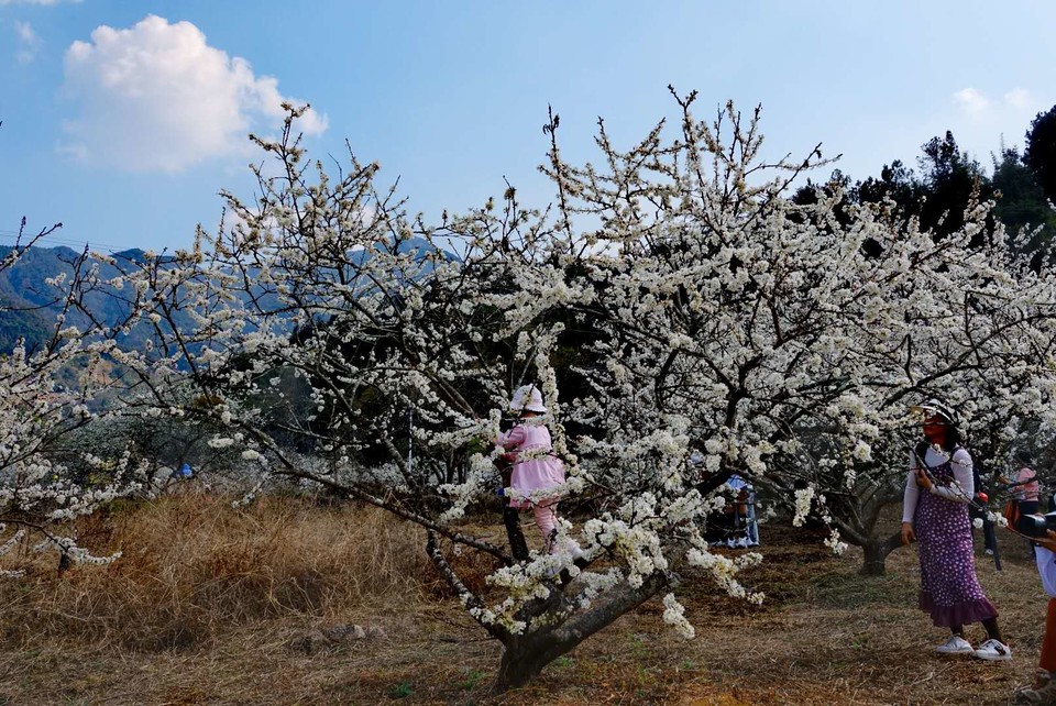 7jo1PFb34Mf1Z9L713uUie4JOr6cj0Rkcrb4Wcjx6TLFM6oRR01mLNZYZz0Tz4Yp