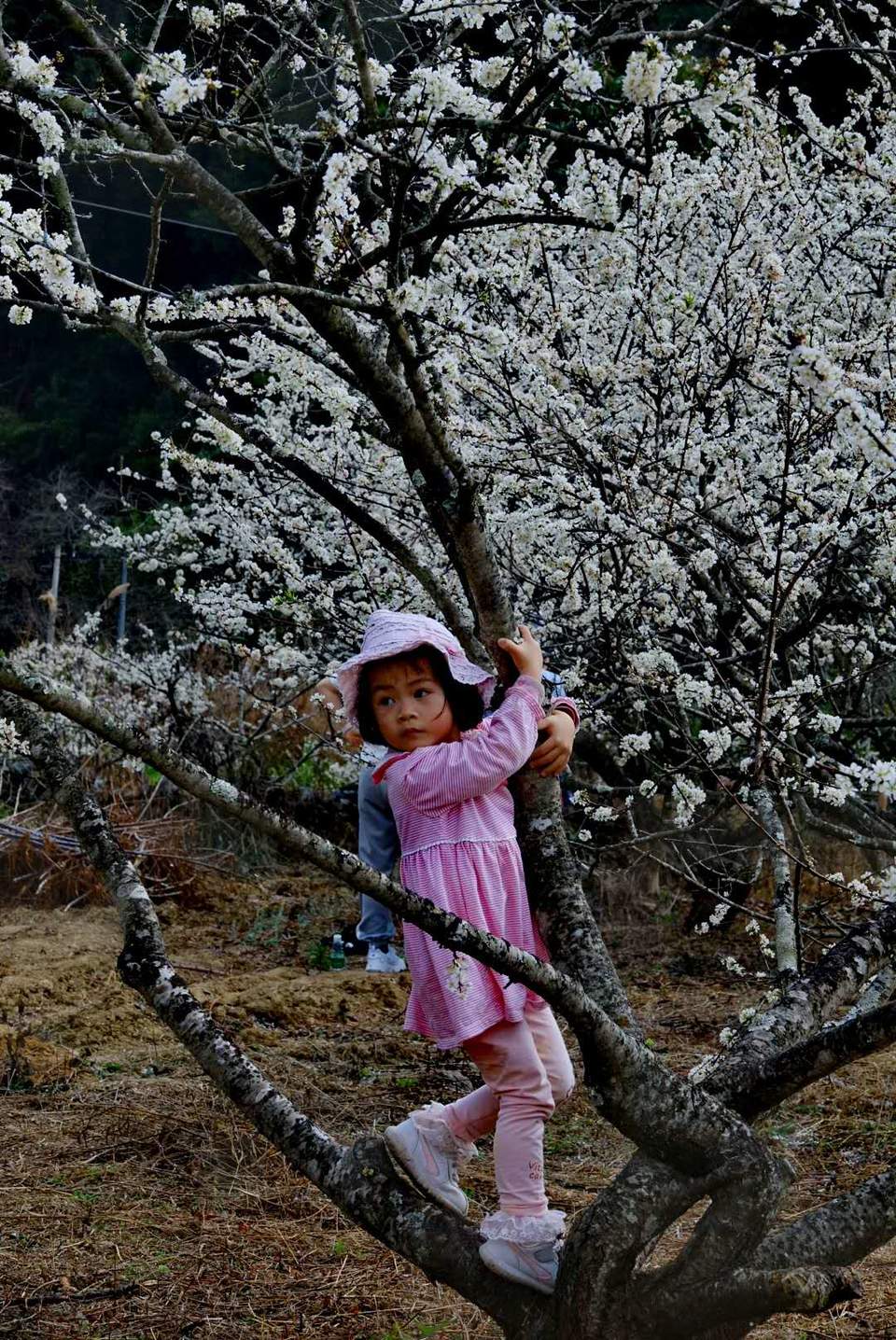 pOP6gRcc4SHqwZXPMFb7XSUztH-UCcFvloGpgUAYKUvh_lo4m17GmfBkdI-RHja9