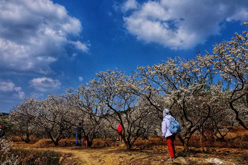 2sZiiaf-xB7bq6E_5NGgmnewP5PEFyppKKs8LLO_nDAog6fr8Ag1BG-VGQyDWuMQ