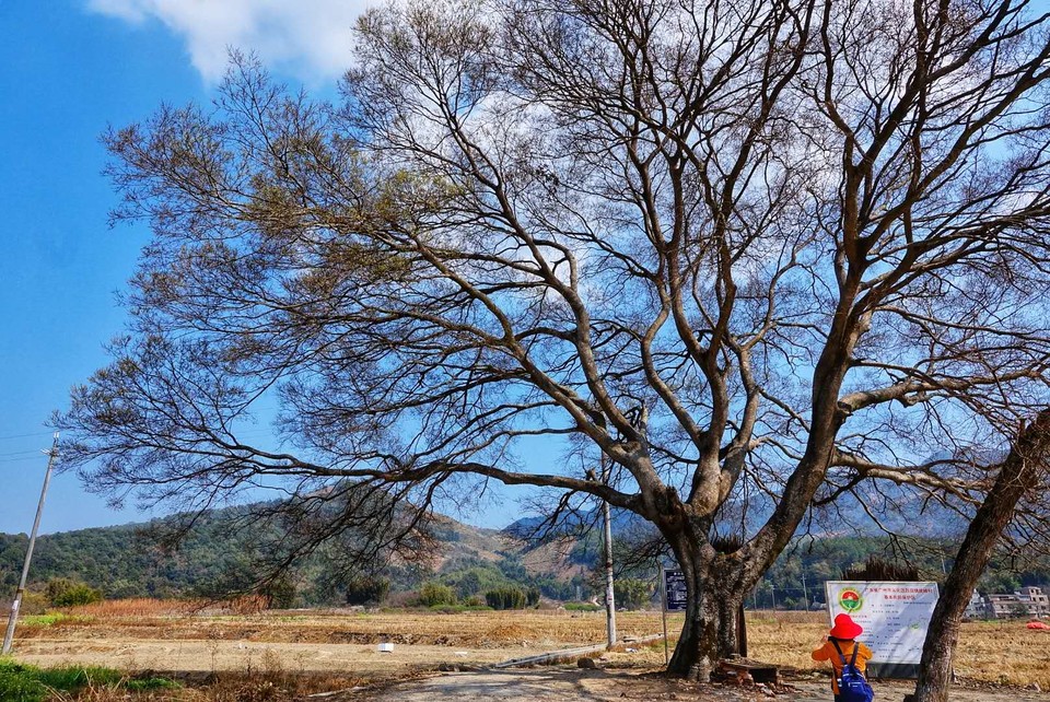 prvbXZ-OvGpmJt3TqGPfLnR-f4zx-xEwCmqw6VR2f4niSv7rOLaC_YC3eLNpWbqk