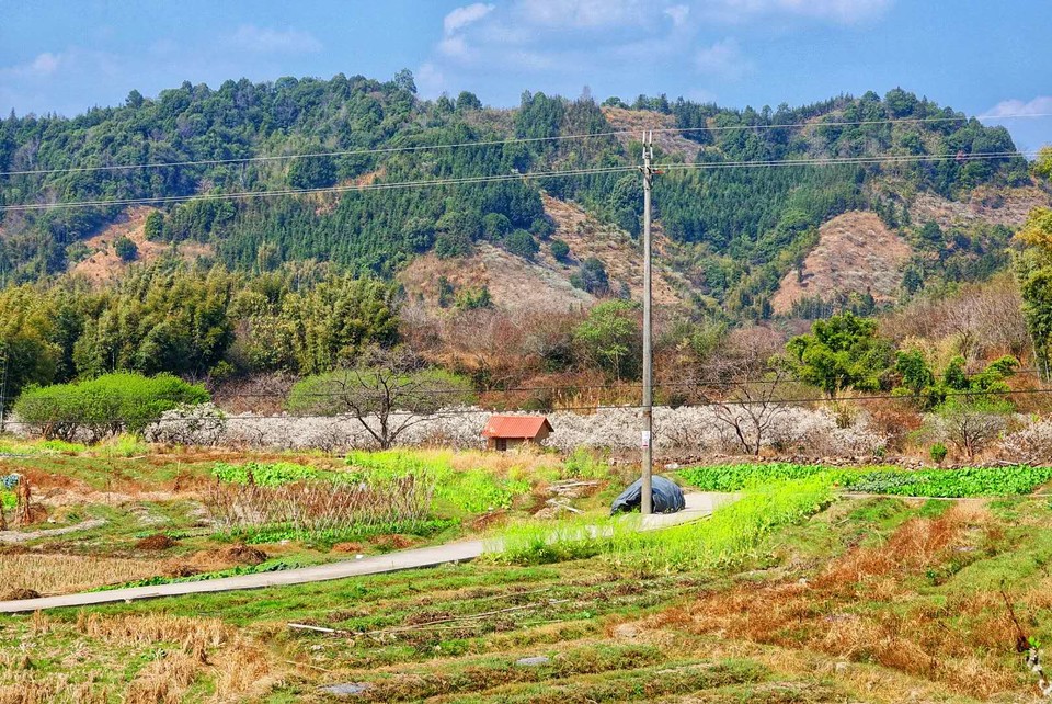 XS4cb_2AZ7aIx5-EjvMT6vfKs3I6MhY9tIY_aj5xqoNehQlLpybqOiE7xOy4FB3K