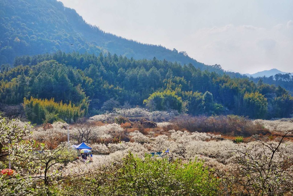 aqD1JzDJPZGYgMZYHumqE6FH8UP7HZi7tz3v139qdM-48qOdEJ2z_zJrz5DJPbss