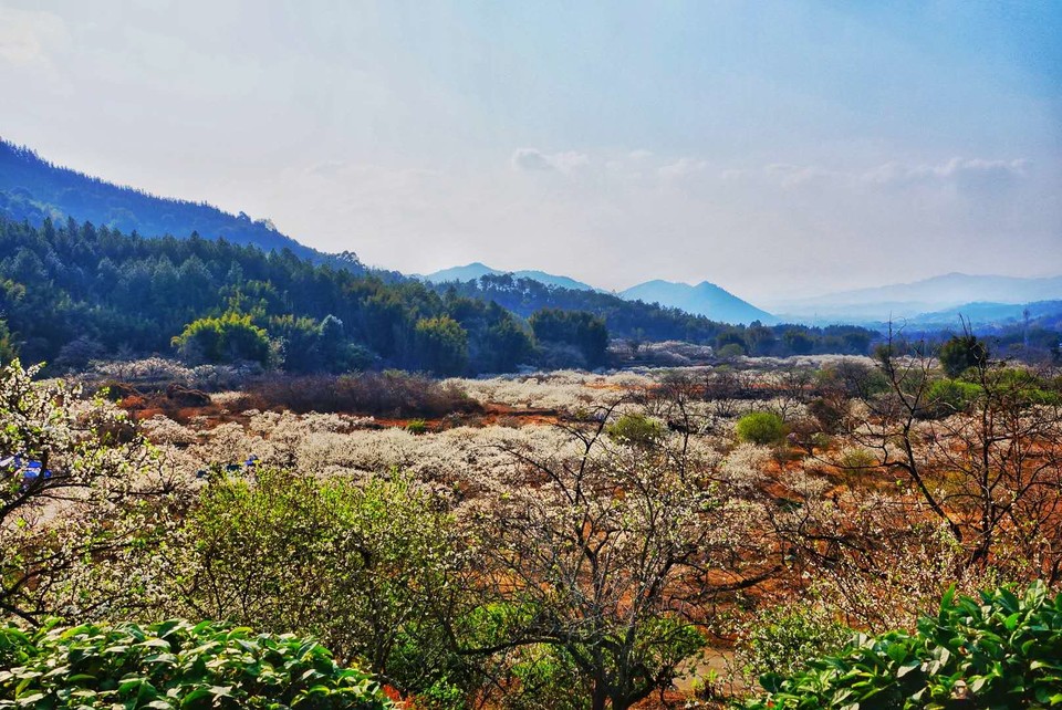 ox_JlT05VDA3MrauUEAmixqIrxKLeiP8Cd7uR3OP5vQ8c8a7w88rzPbChst_RbtH