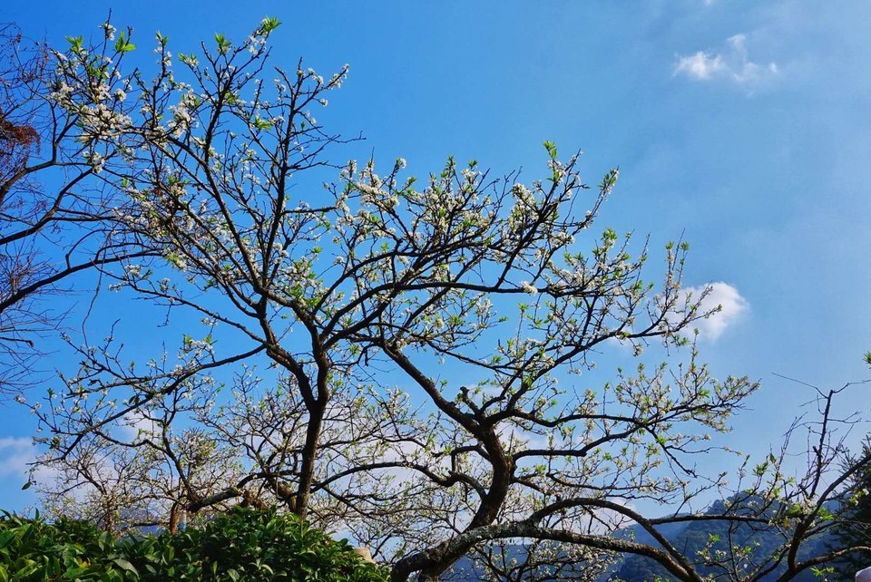 farKmpMUiBSyAYF68nPkSwobBEmiQ4Y6HJULXXVVuNrWFuEeQZ-VYpvYJeuU2mkI