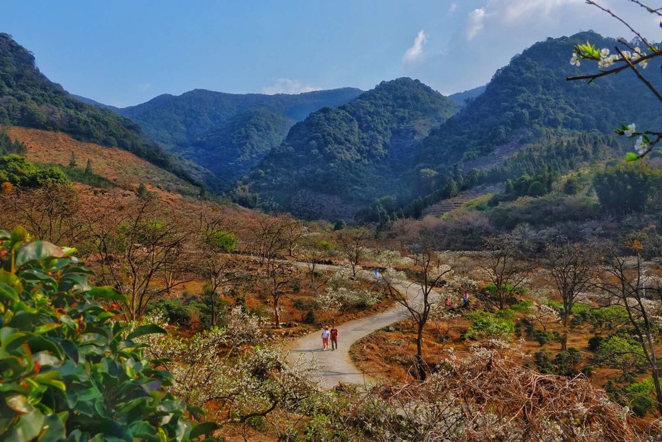 sk8bY74x1kxARu1aow9uIn_sGEn1Jvg_RTn4FiTrP4CjnF87BeqFS1RWcKGD8spl