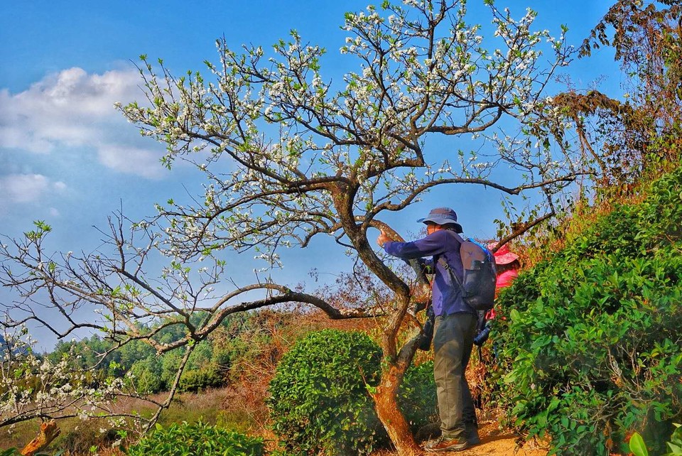 eNlhMHANPSSSBqDjuJFtr9eXbgbBsD5BR2IeHcKkpUFpBJPHB-z3hOfdaCQzeMKb