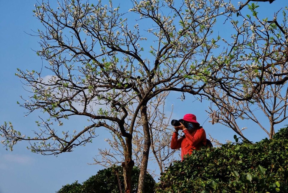 Z8lEomz4Z7fVjoh5pZUzGEc_9ahGpAZyYB61jlZrspWJyFhWeYyni3CrY9yktAQN