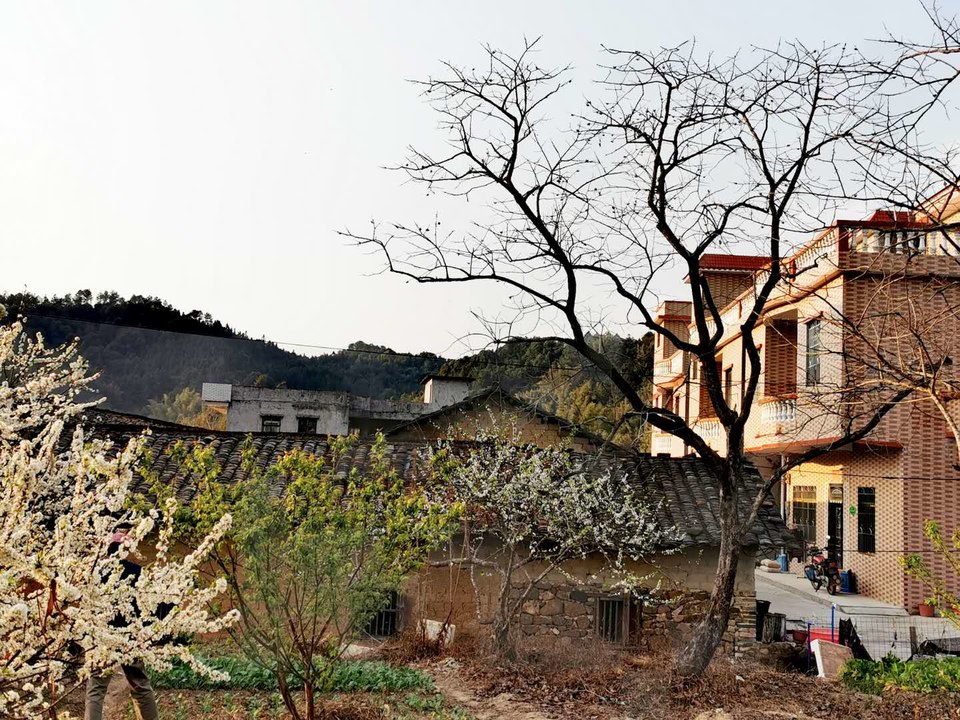 hKDYaYlqgmE76UVou5iCp_JKCAE1xL8APinIqNyycJneUzR8d4keyOdg8emgK2cZ