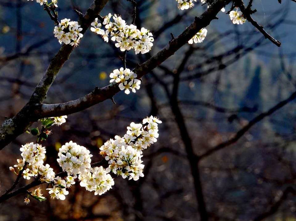 VkCWPaBSi0tQn8EaA-LAXemJT0eK0veXNHweaIlGmAWdscyp-yLZOt8ZLT6k5a2k