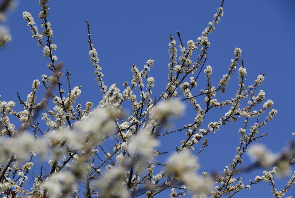 CSu9M5xRiFl5ewqexH4xYKSKGPVCW5KstCy7JHwdpF1LSnhLDdcoe_lF1VEjXKxM