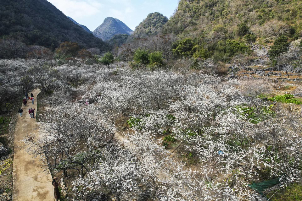 CSu9M5xRiFl5ewqexH4xYO_kkKQ50oYFYNUklY4dav_nnKPiA1h4bUhKALq3whX-