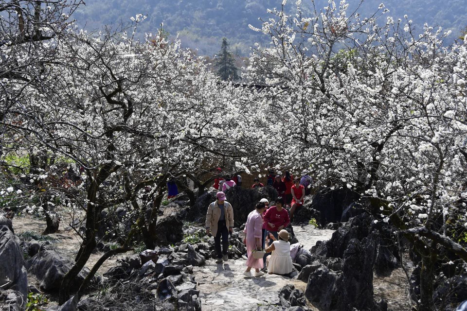 us5HGU4uV3rPCJSaIZYqbib-B-xZVsdVzHBpzKJIaUYftwixMWPYRYlObNMVhQHR