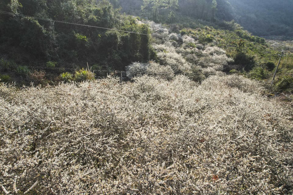 us5HGU4uV3rPCJSaIZYqbg6n9bguZhEBWW_Aw-sfQWcwPLXvyFXp62AAFvFtEmLe