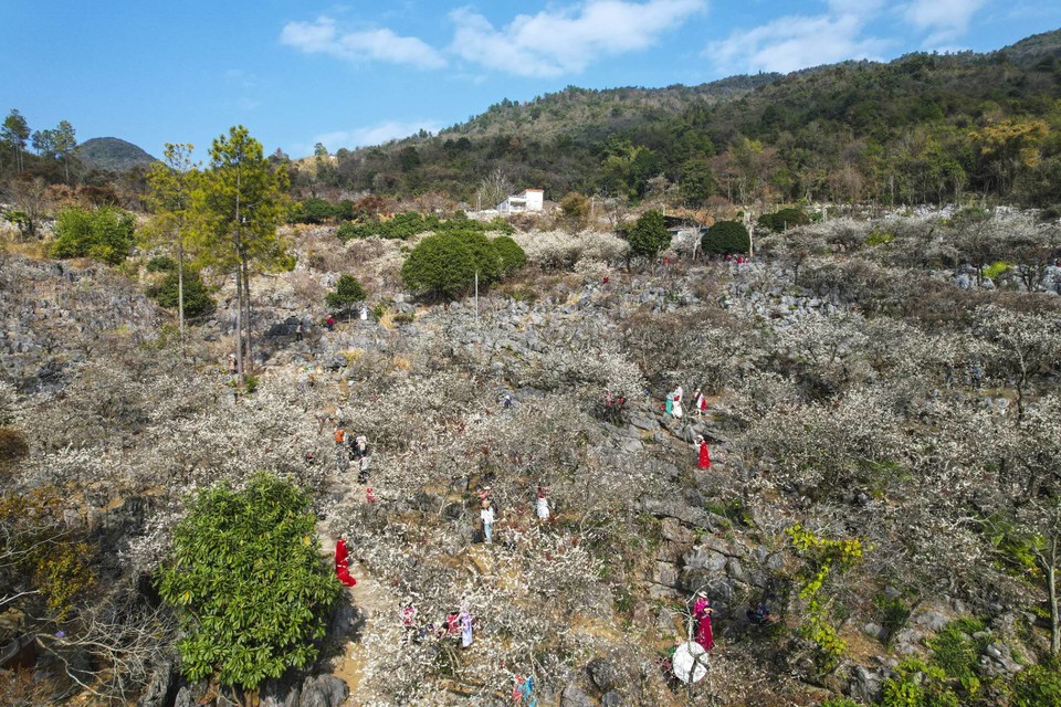 us5HGU4uV3rPCJSaIZYqbt3hFnmkqBomDeZ87j0ooJACzvR6i6v3LTqBEsRQy1iv