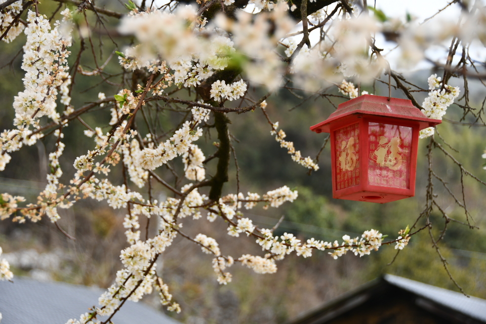 pVnpZ02Dq_XtRjHyxkwGBVhdkky8fSD1py-BWulDA89JGBZyBdxbeIGH9ASaSzBq