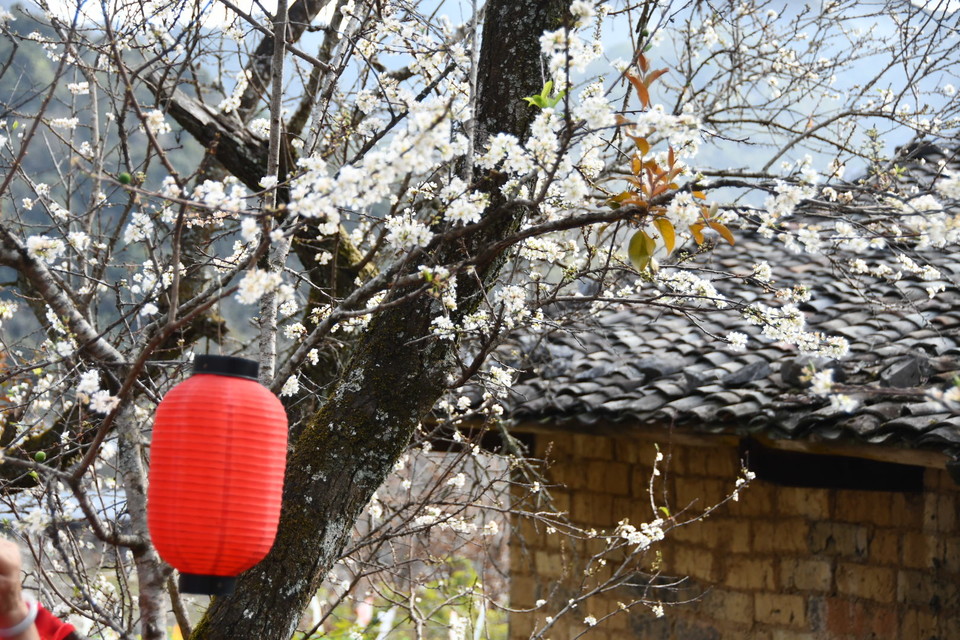 pVnpZ02Dq_XtRjHyxkwGBSna1GSuxrIKJyxnPsMpa28gvlyMB_Hsn87qd4OIISOL