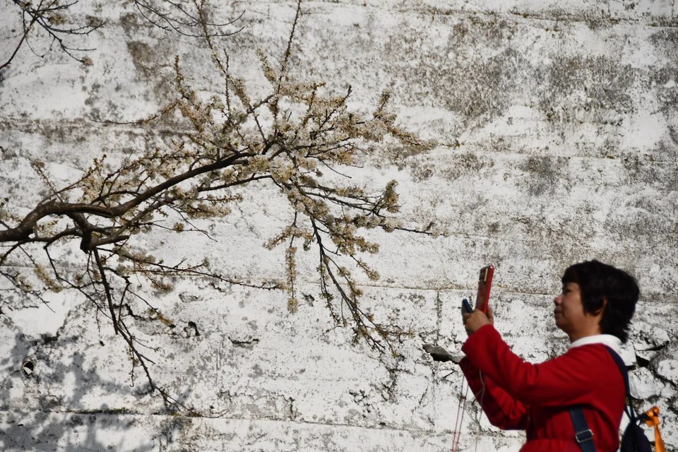 pVnpZ02Dq_XtRjHyxkwGBWNkLHkGMg_32LGP_2-j0fo6pZQD9LPPlfpZoEznFAAQ