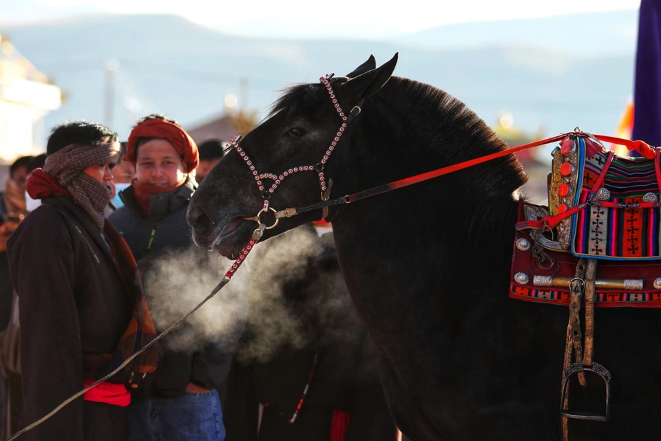 rXsp77MJgy7sHLGeyE2LuwcCDyWN5OO0xPnOc_3hBHth74hbOGAT0Ej7QXDoSvBo