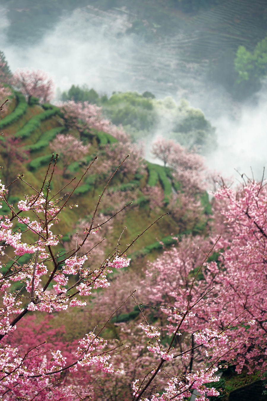 puqpj2EBHNNh2pZQFN2RGhlbuEKTJ1Cfria1eTGauKua0NYr5lf4Vd_OwhY3Ll3u