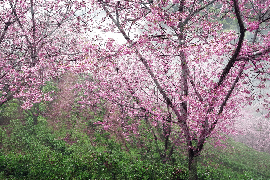 puqpj2EBHNNh2pZQFN2RGk0yrve9fE0S9elGV0RPiJsey1ui6IShTXlcXsUK4SZa