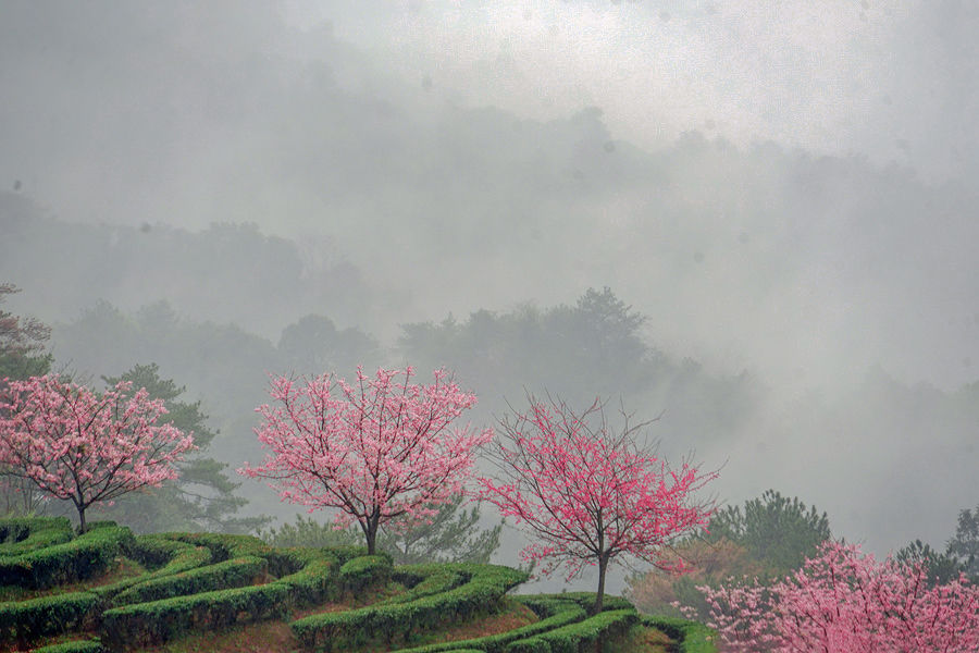 puqpj2EBHNNh2pZQFN2RGvd6QXJeR36XgNHQRbSrNiRY6ZrL-g1M10rr7olEhCEe