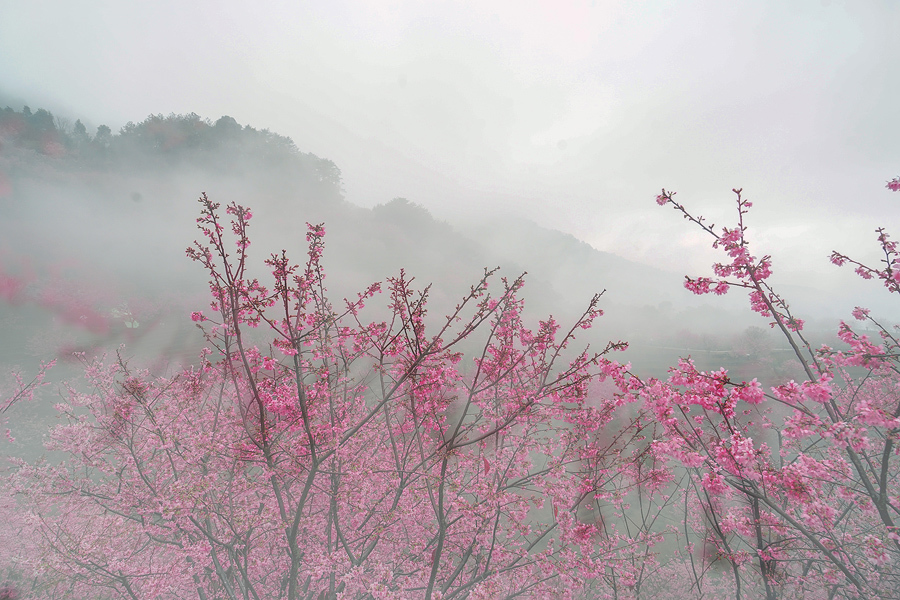 puqpj2EBHNNh2pZQFN2RGgnZ2J4xkvijeFsO0wB9rvhwZ9wbQhYLhxJNxbB9GCi2