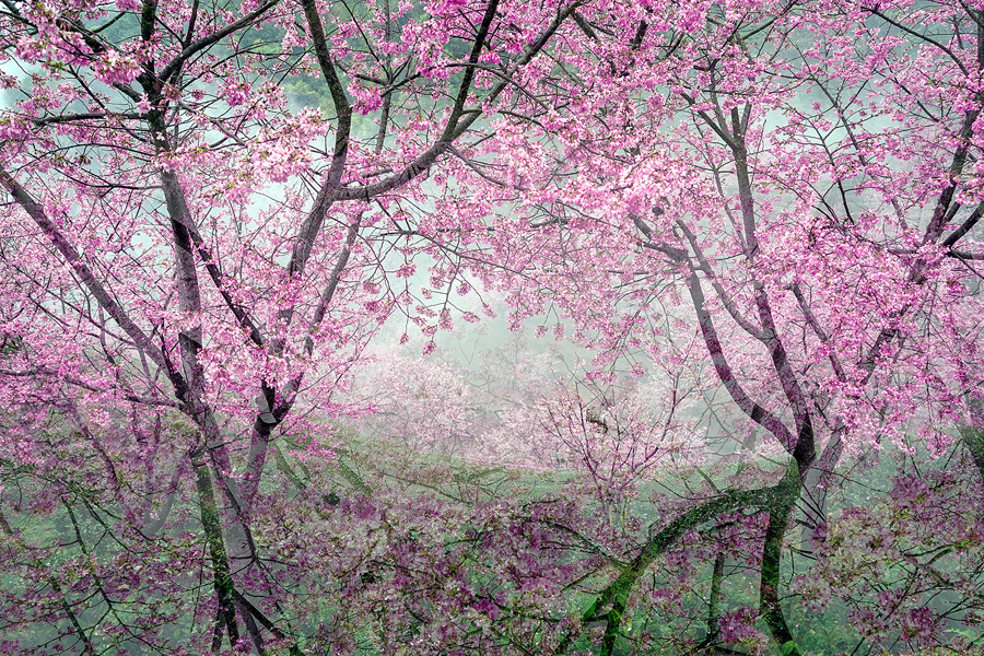 mRW6NJO0hlKJpk6EGA_MeFAfpV6FOnQGR6XfSBKsqXhF7J6tbqjyuthKko1ykp9-