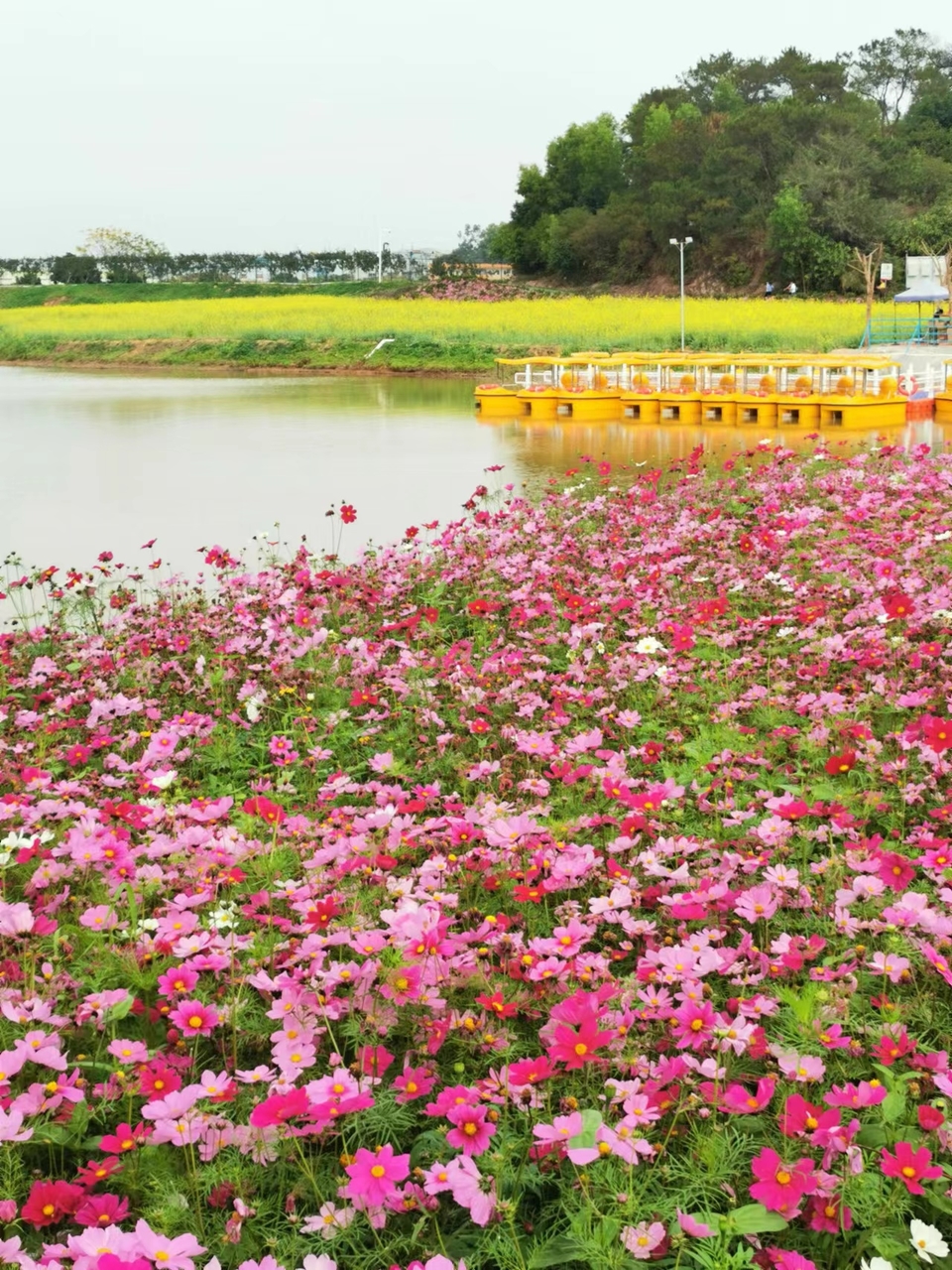 zaAKw0ea_H_k3ysDjiXr8NWLA9hMdWFAb5FkNeBmh1c4V-GP_xtZwH8OuUPmzTMO